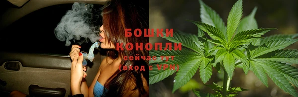 шишки Баксан