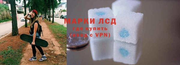 шишки Баксан