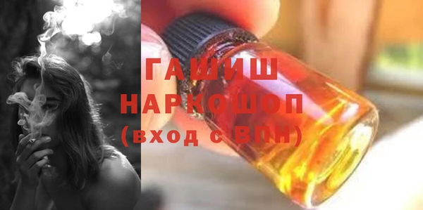 индика Балахна