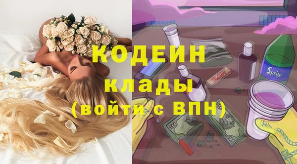 шишки Баксан