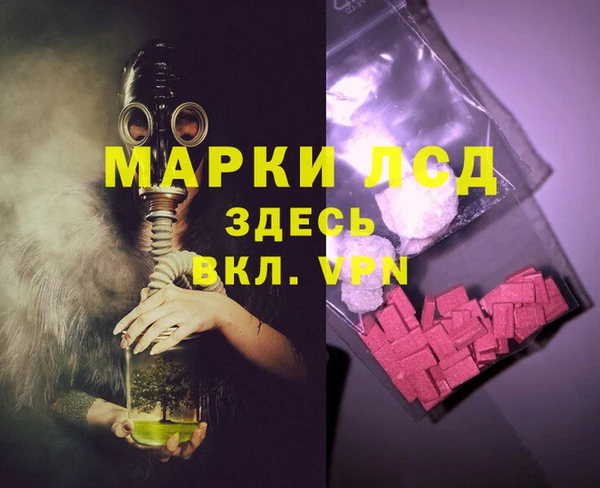 индика Балахна