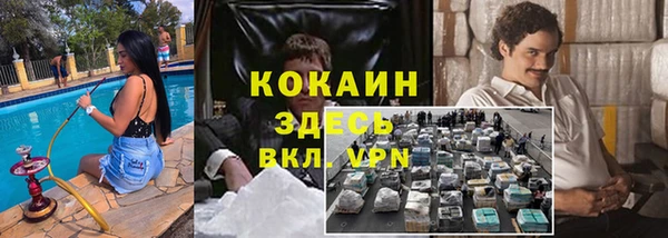 шишки Баксан